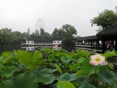 -无锡蠡湖国家湿地公园-蠡园