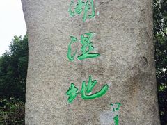 -溱湖国家湿地公园