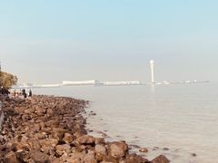 -上海吴淞炮台湾国家湿地公园