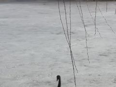 -圆明园停车场