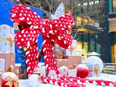 -凤凰汇购物中心