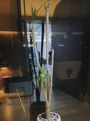 -LJOY丽锦造型·烫发染发