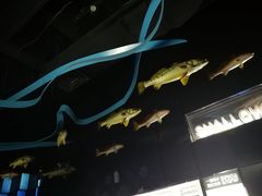 -同济大学四平路校区深海探索馆