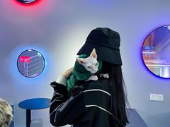 -极木²邸 人与宠物·互动社区
