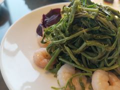 -大连君悦酒店·星海湾壹号Dalian·Dalian(星海广场店)