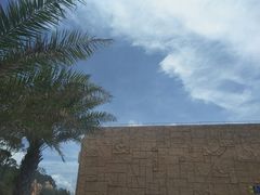 -广东惠东海龟国家级自然保护区
