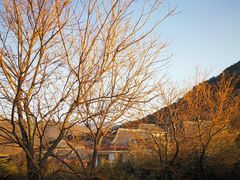-徂徕山森林康养度假谷温泉