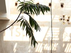 -太平老街-前行美术馆