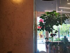 -Infica Coffee