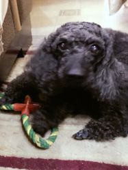 -杉惠素颜美妆皮肤管理中心