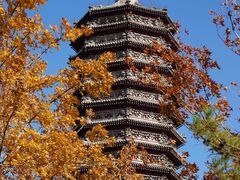 -西海子公园