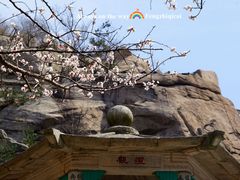 -崂山九水游览区