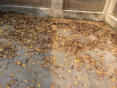 -水绘园