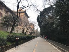 -武汉大学-樱园
