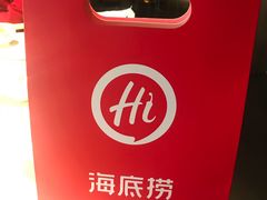 -海底捞火锅(公益西桥店)