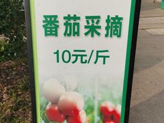 -苏州太湖西山岛开心农场