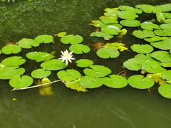 -鸿山公园