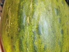 -山里屯铁锅炖·东北菜(康桥店)