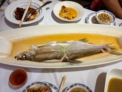 -席家花园(巨鹿花园店)