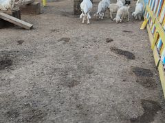 -西部长青自然儿童乐园