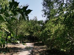 -绿堤公园