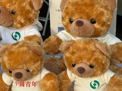 -沈阳奥林匹克体育中心