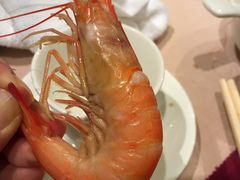 虾-陶陶居海鲜酒家(新马路店)