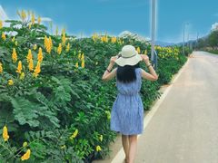 -光明小镇欢乐田园