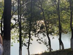 -凤岗南门山森林公园