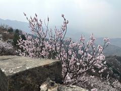 -慕田峪长城
