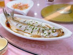 清蒸鲜白鱼-西新饭店(城中店)