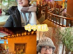 -叶叶菩提(太原别墅店)