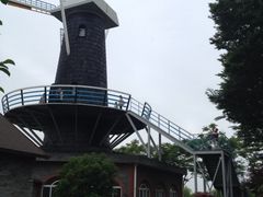 iphone_upload_pic-上海鲜花港