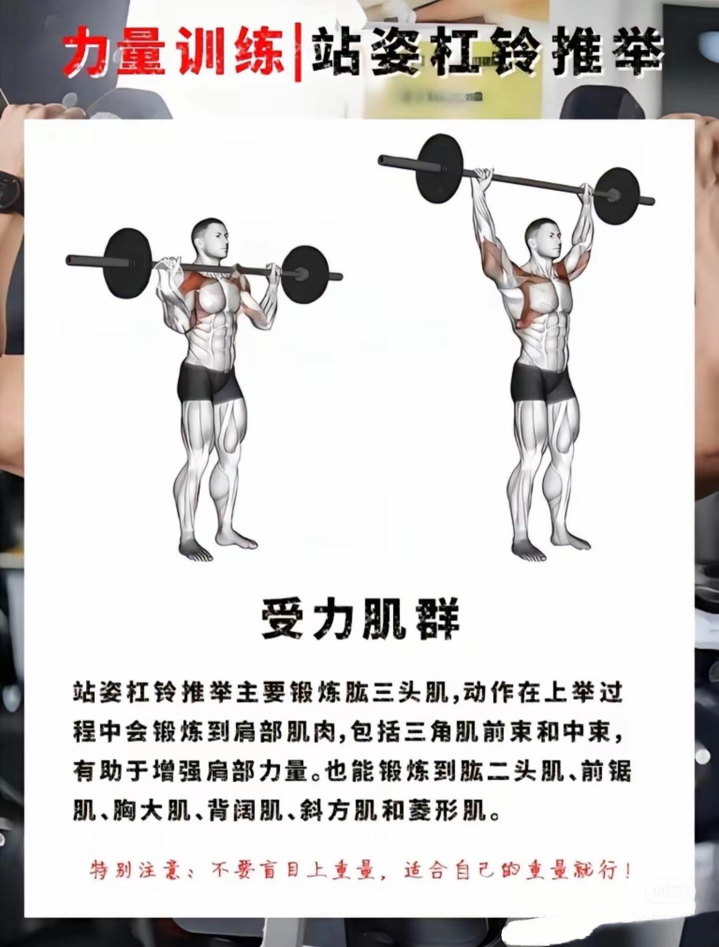 杠铃实力推动作细节