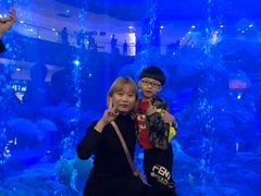 -成都浩海立方海洋公园