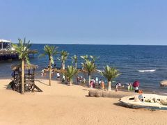 -北戴河碧螺塔海上酒吧公园