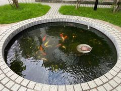 -红线女旧居