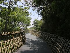 -福道
