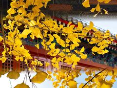 -承恩寺