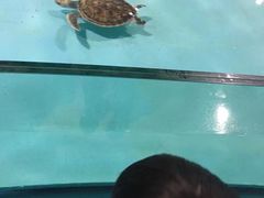 -台州海洋世界