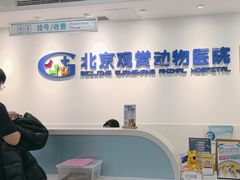 -北京观赏动物医院·24小时大型综合·猫专科·异宠专科
