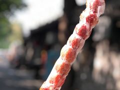 -和禄德冰糖葫芦