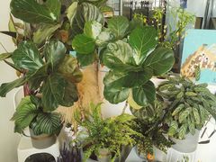 -隹木咖啡馆(宝龙广场店)