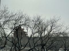 -TRB Forbidden City(故宫店)