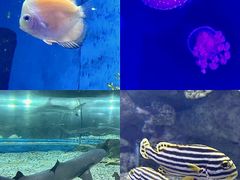 -福州罗源湾海洋世界旅游区