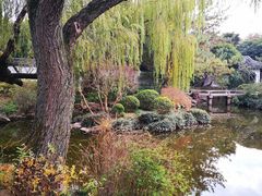 -秋霞圃