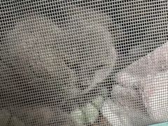 -瑞派宠物医院·犬猫全科·猫友好(宾水西道店)