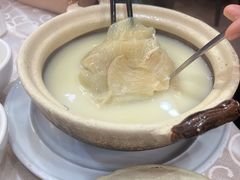 -凤城礼记鱼翅海鲜酒家(新马路总店)