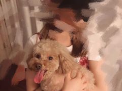 -艾贝尔宠物医院·24H转诊中心·肿瘤猫专科(江宁双龙店)