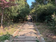 -青龙山国家森林公园